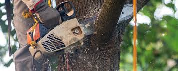 Best Weed Control  in Converse, IN