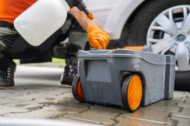 Best Lawn Disease Treatment  in Converse, IN